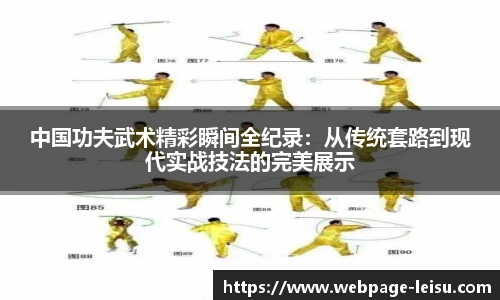 中国功夫武术精彩瞬间全纪录：从传统套路到现代实战技法的完美展示