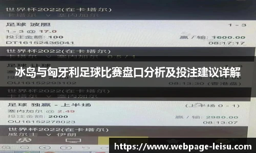 冰岛与匈牙利足球比赛盘口分析及投注建议详解